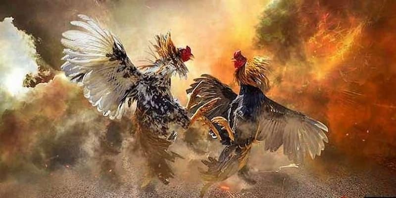 Cược tổng số bàn thắng