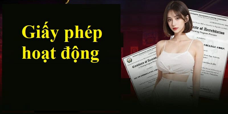 Giấy phép hoạt động là gì?