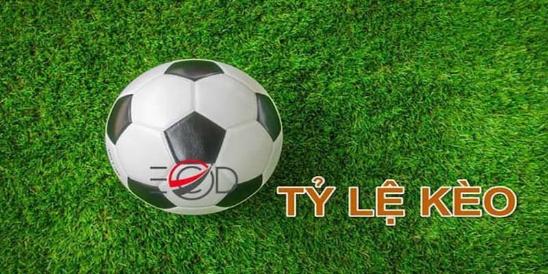 Các loại tỷ lệ kèo nhà cái phổ biến tại Leo88